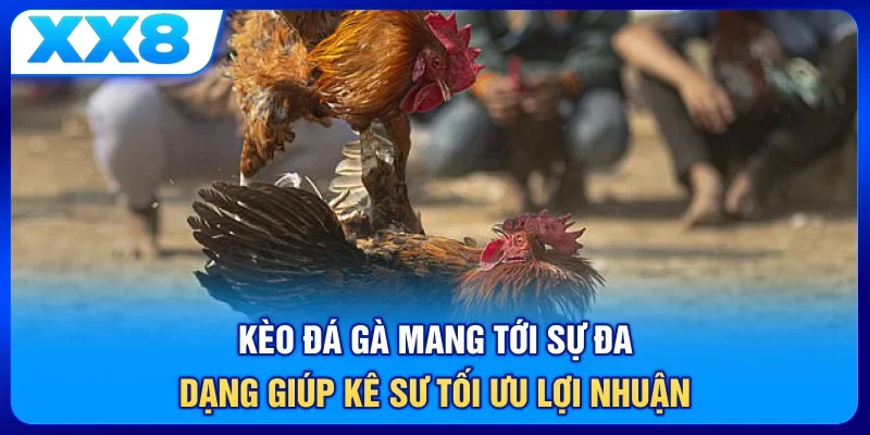 Kèo đá gà mang tới sự đa dạng giúp kê sư tối ưu lợi nhuận